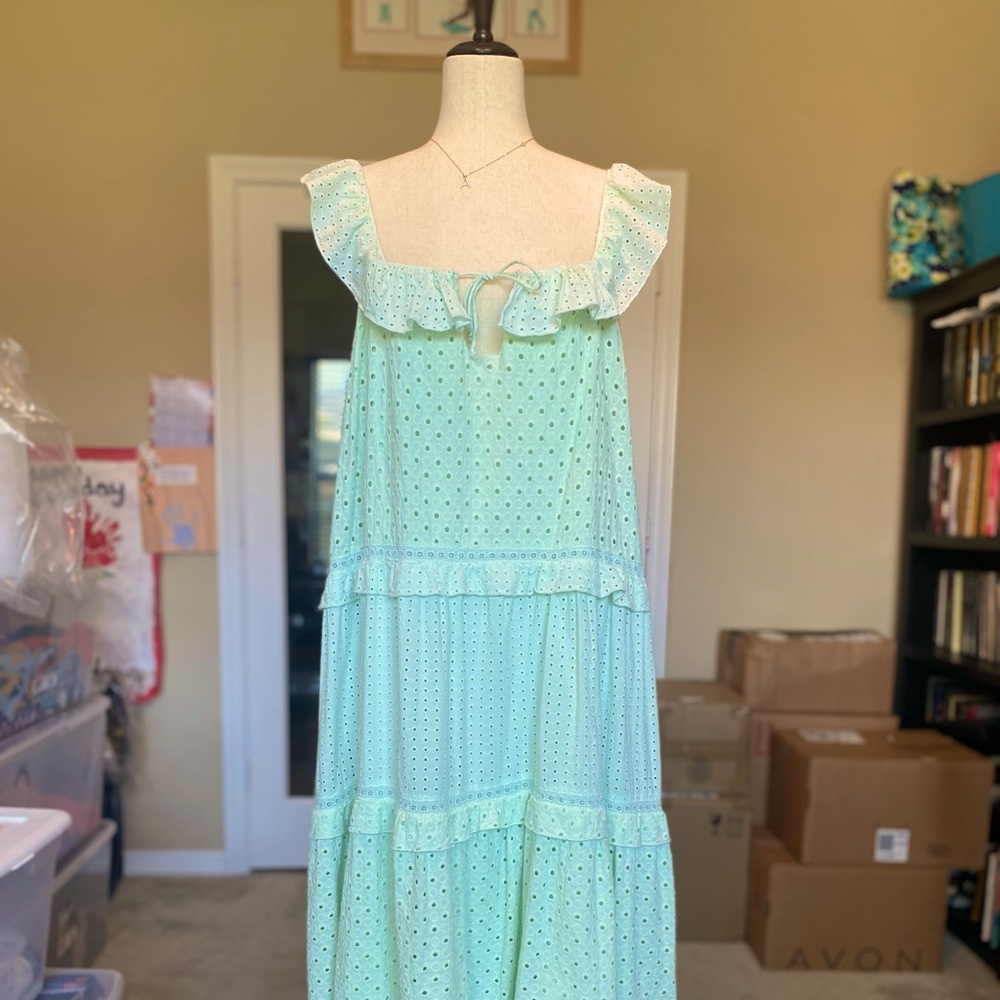 Zara Embroidered Lace Midi Dress NWT L - Picture 7 of 10